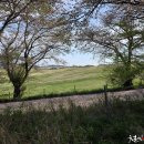 한우목장 이미지