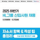 하이홀딩스 | [2025 HL그룹 채용] 자소서 항목, 작성팁 총정리 (HL홀딩스, HL만도, HL클레무브 등)