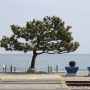 강천풍경 이미지