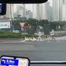 대민상사 | [2025 국가직 9급] 우정행정직 면접후기 - 어려었어욘, QnA 등