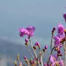 흥국사길 이미지