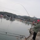 k1한국바다낚시터 이미지