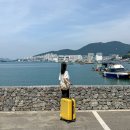 시즌아이PC존 | 국내 1박2일 커플 여행지 추천 아쿠아플라넷 여수 여행용 파우치 코닥