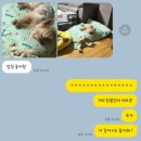 왔따쪽갈비서울