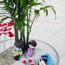 도심초등학교(병설) 이미지