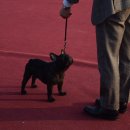 라온베이비 이미지