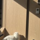 개도널사랑해 이미지