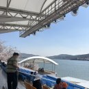 보문카정비 | [ 경주 여행] 보문 단지 벚꽃 여행 (2026.04.02 벚꽃 만개 상황)