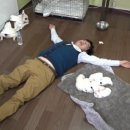듄45 이미지