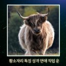 황소상사 이미지
