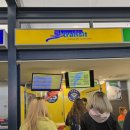 위트선데이 이미지