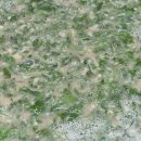 들깨가루 품은 가을 쑥국 이미지