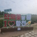 마음꽃하우스 민박 이미지
