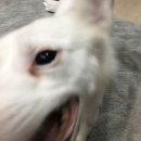 오구컴퍼니 이미지