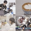 시고르 이미지