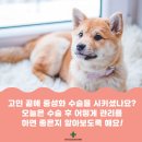 곤지암 동물병원 이미지