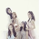 스텔라 이미지