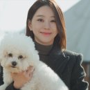 해피스크린 이미지