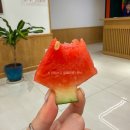 웰빙할인마트 앞 | 나트랑 공항픽업 마사지 롯데마트 안에있는 고급 아트스파