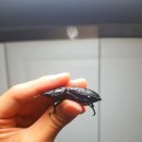 (주)운우 이미지