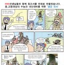 이글스스포츠아카데미 이미지
