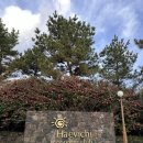 해비치골프연습장 | [제주도 골프장] “해비치 제주CC" 겨울에도 따뜻한 제주도 2인 골프 노캐디 후기/그린피 정보