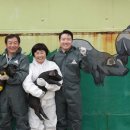 토종돼지농장 이미지