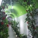 당감4동-16 | 부산당감동맛집! 미락 한우샤브샤브 당감점 다녀왔어요 !