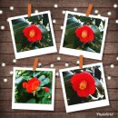 더노벰버스테이 이미지