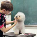 메종VIP203 이미지