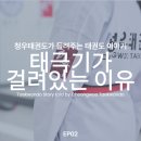청우 태권도장 서울본관 | 강남 서초 태권도, 청우태권도장에 태극기가 걸려있는 이유