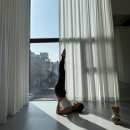 Better move (베러무브) | 메시아댄스웨어 신상 웜업팬츠 여자 발레 조거팬츠 실착 후기