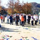 화곡초등학교 이미지