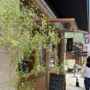 씨티브루 | [카페] 대전 둔산동 카페 추천 씨티브루 디카페인 라떼먹은 내돈내산 후기