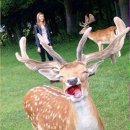 나들이슈퍼 이미지