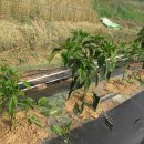 광천농약사 이미지