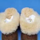 로타리세탁소 이미지