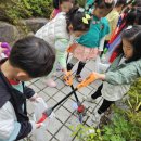 범서(병설)유치원 이미지