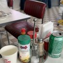 강남 애견동반 브런치 식당 82올리언즈 내돈내산후기