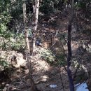 노암연합의원 이미지