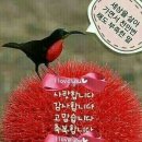 원함 이미지