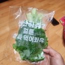 개온 이미지