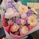 가락홍삼화장품 | W. 결혼전 인사 선물 : 꽃다발은 선택 아닌 필수, 한우 홍삼 과일 화장품 술 비교, 추천 비추천