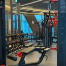 빌리브 패러그라프 피트니스 이미지