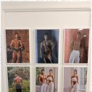 짐에센셜 이미지