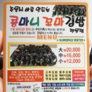 꼬마김밥&콩마니 이미지