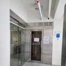 gm산후조리원 | #29주차 임산부 일상(GM제일산후 조리원투어, 분만이론 교육 수강, 강아지 미용, 원피스 구매)