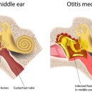 디엠씨성모의원 이미지