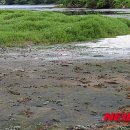 초동축산 이미지