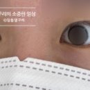 위아래쉬 네이버블로그